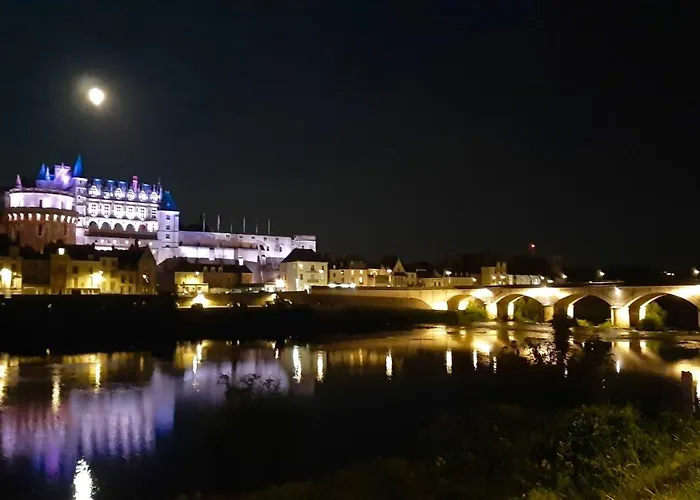 En Plein Coeur : Charmant Gite Centre Amboise